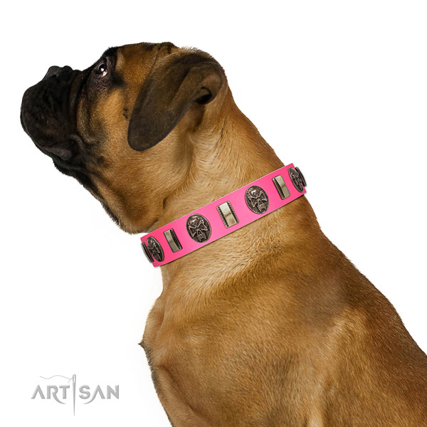 Rust resistant traditional buckle on full grain natural leather dog collar for easy wearing