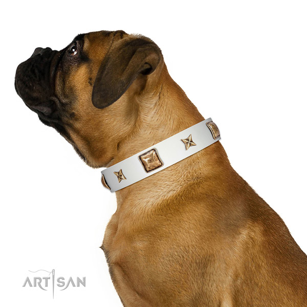 Comfortable full grain leather dog collar with embellishments