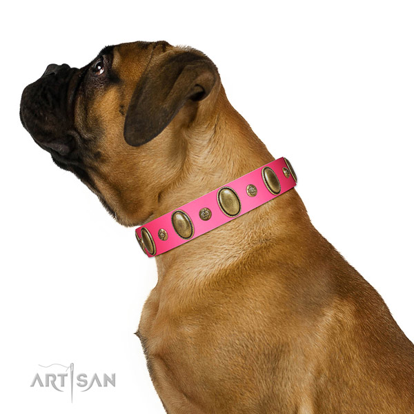Walking reliable full grain natural leather dog collar with embellishments