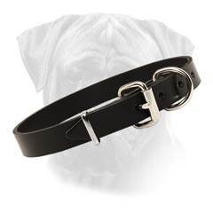 Every Bullmastiff Must Have This Classical High-q  Leather Collar
