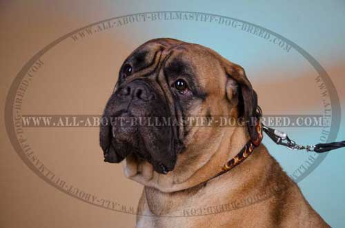 Leather Dog Collar for Bullmastiff Decorated with Hand Painted Flames