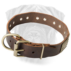 Leather Bullmastiff Collar for Walking