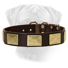 Wide Bullmastiff Leather Dog Colar With Big Riveted  Plates