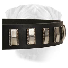 Non-Toxic Leather Collar