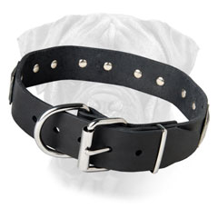 Extra Durable Leather Bullmastiff Collar