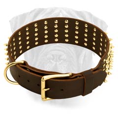 Leather Corosion Resistant Collar