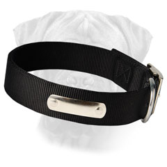 Bullmastiff Collar Made of Strong Nylon Material