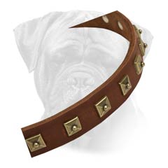Bullmastiff Leather Collar Unusual Studded Design