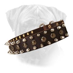 Handcrafted Bullmastiff Leather Decorated Collar With  Spikes And Studs