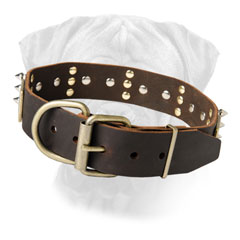 Bullmastiff Leather Dog Collar with buckle & D-ring