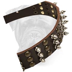 Bullmastiff Gorgeously Looking Leather Collar With  Spikes And Studs