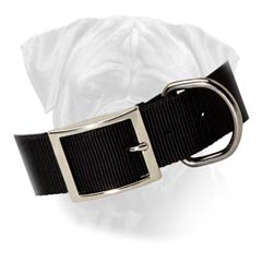 Durable Bullmastiff Nylon Buckled Collar