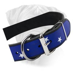 Bullmastiff Awesome Patriotic Colored Leather Coollar