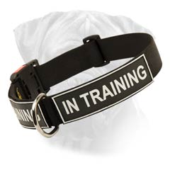 Bullmastiff Easy Care Nylon Collar With Quick Release  Buckle