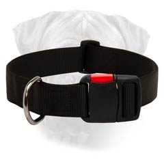 Bullmastiff Nylon Dog Collar With Quick Release Buckle  And Tri-Glide