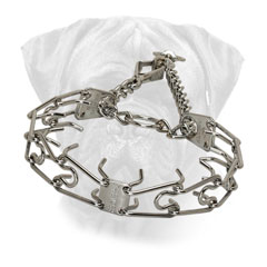 Collar Bullmastiff Pinch Chrome Plated Herm Sprenger