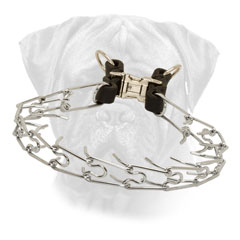 Pinch Bullmastiff Collar Chrome Plated for Behavior Correction