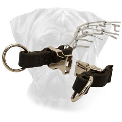 Bullmastiff Pinch Collar Chrome Plated Quick Buckle for Effective Training