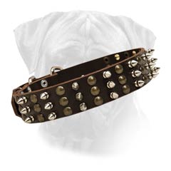 Bullmastiff Leather Collar With Unique Decoration