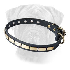 Kingly designed leather collar