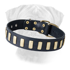 Leather Dog Collar of Outstanding Design