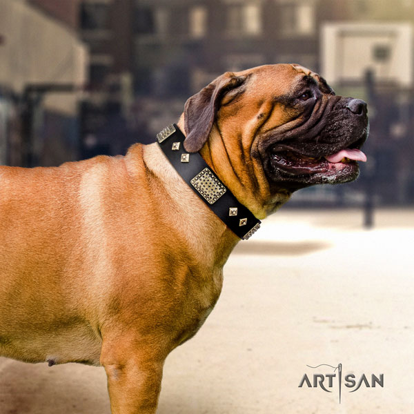 Bullmastiff everyday walking dog collar of significant quality genuine leather