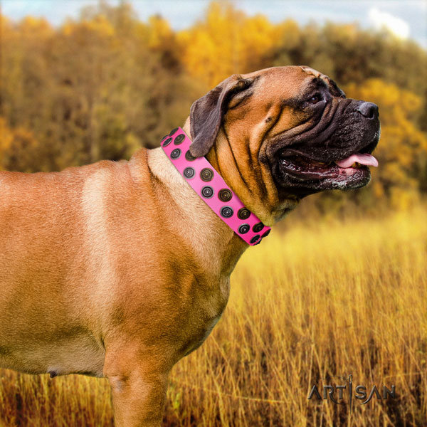 Bullmastiff walking dog collar of extraordinary quality natural leather