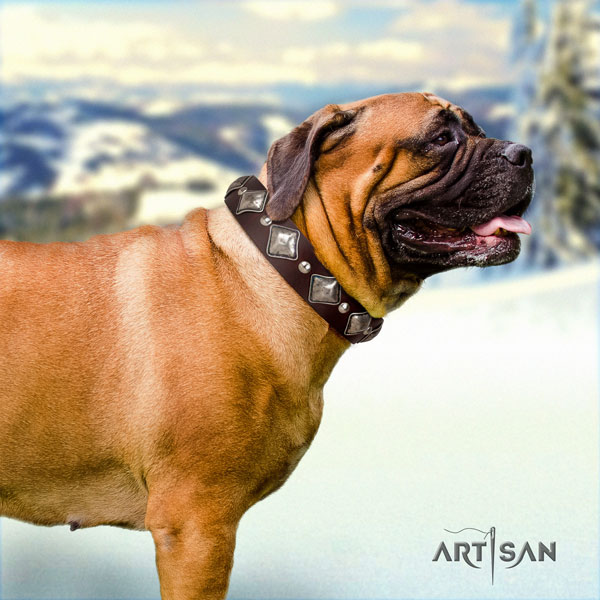 Bullmastiff comfortable wearing dog collar of incredible quality genuine leather