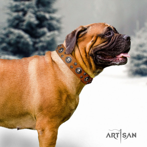 Bullmastiff everyday walking dog collar of significant quality leather