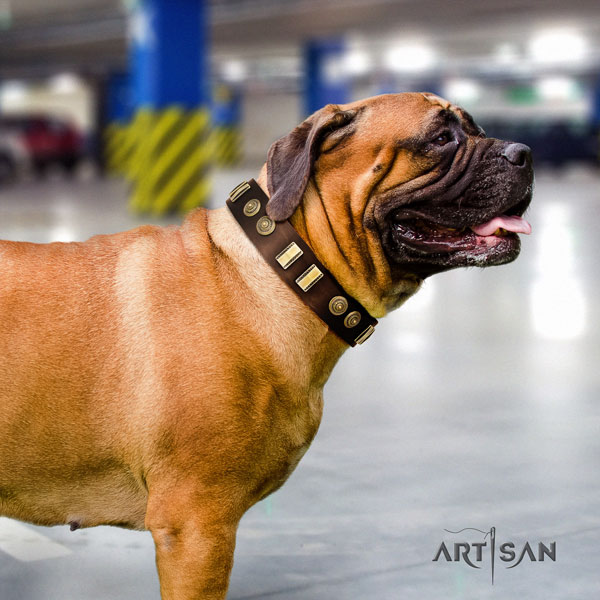 Bullmastiff comfortable wearing dog collar of comfortable genuine leather