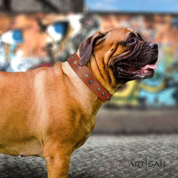 Bullmastiff walking dog collar of significant quality natural leather