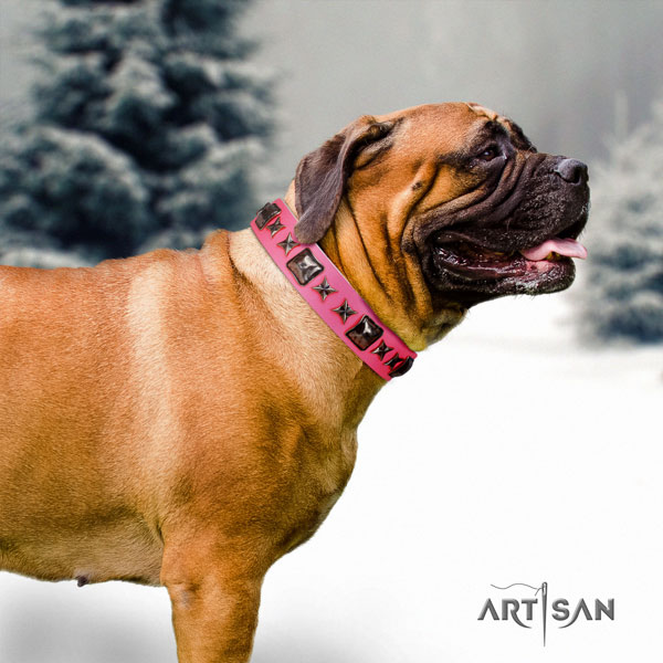 Bullmastiff walking dog collar of comfortable leather