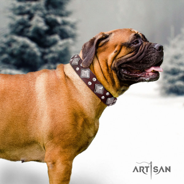 Bullmastiff fancy walking dog collar of fashionable natural leather