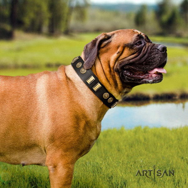 Bullmastiff stylish walking dog collar of top notch quality natural leather