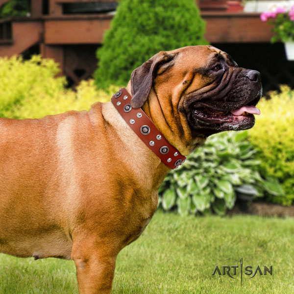 Bullmastiff everyday walking dog collar of comfortable natural leather