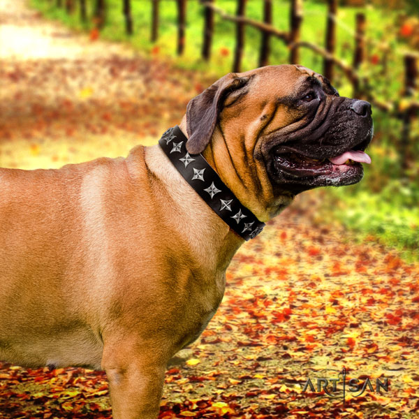 Bullmastiff easy wearing dog collar of extraordinary quality natural leather