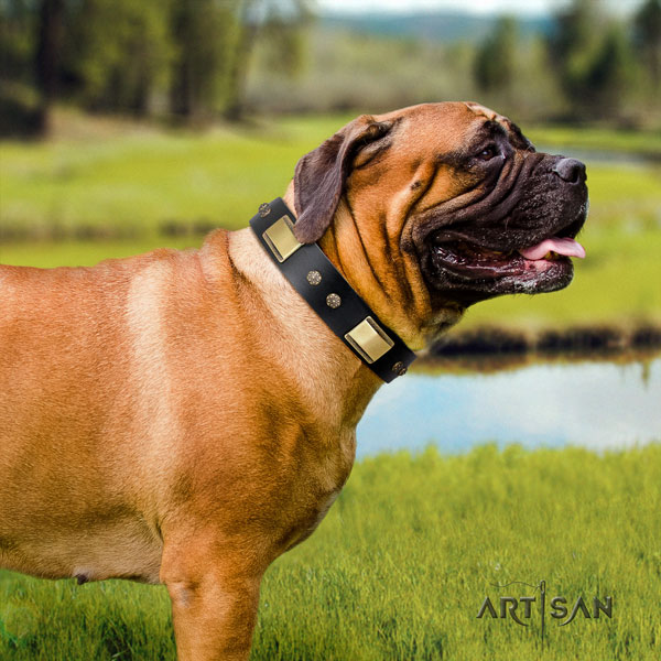 Bullmastiff stylish walking dog collar of soft leather