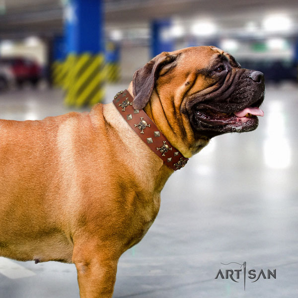 Bullmastiff comfy wearing dog collar of soft leather