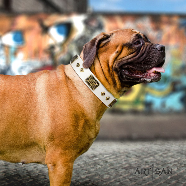 Bullmastiff daily walking dog collar of soft genuine leather