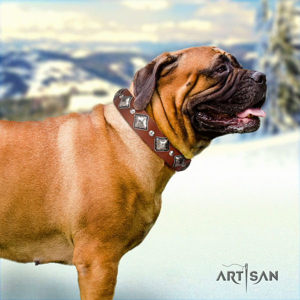 Bullmastiff handy use dog collar of incredible quality genuine leather