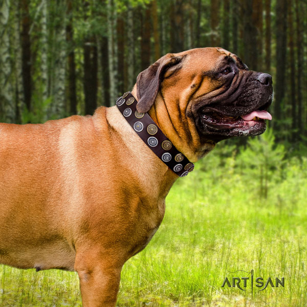 Bullmastiff daily walking dog collar of top notch quality leather