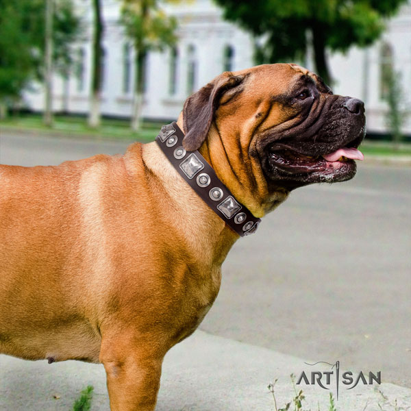 Bullmastiff basic training dog collar of designer leather