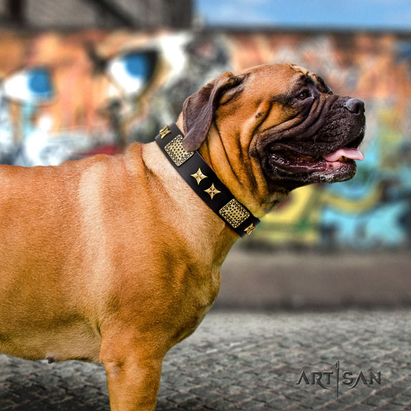 Bullmastiff basic training dog collar of flexible leather