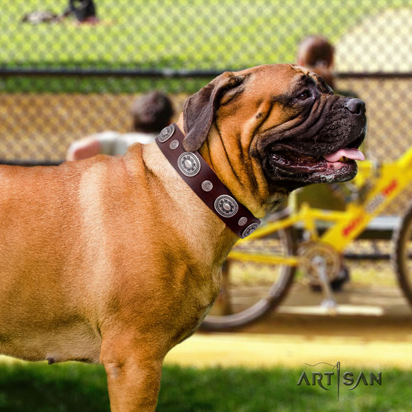 Bullmastiff basic training dog collar of exceptional quality genuine leather