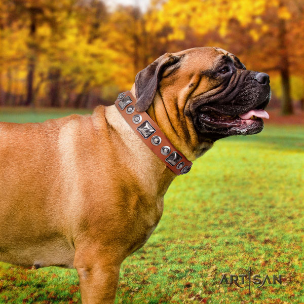 Bullmastiff everyday walking dog collar of soft natural leather