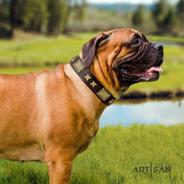 Bullmastiff everyday walking dog collar of fine quality genuine leather