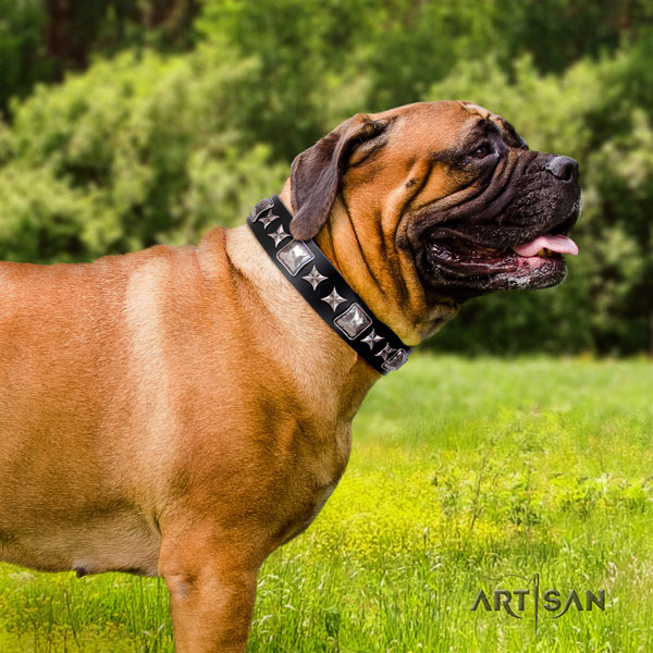 Bullmastiff basic training dog collar of awesome quality leather