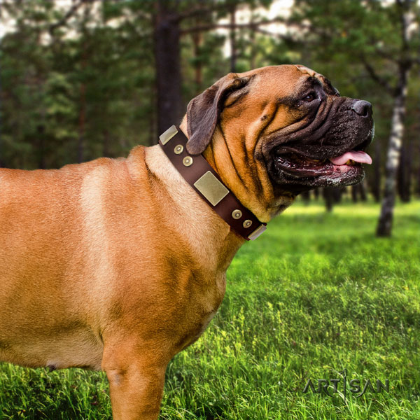 Bullmastiff easy wearing dog collar of significant quality leather