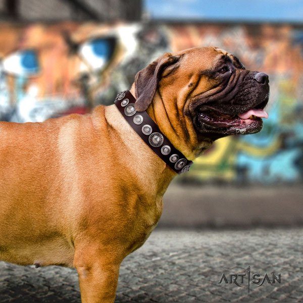 Bullmastiff handy use dog collar of exquisite quality leather