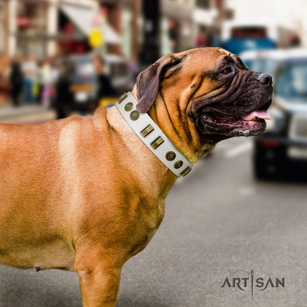 Bullmastiff handy use dog collar of flexible leather